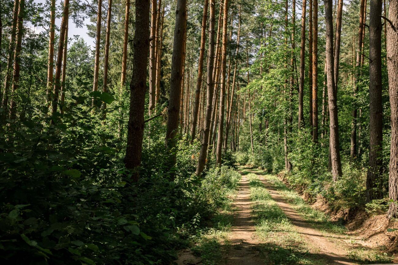 Wiatraki Mazury Pokój Premium nr