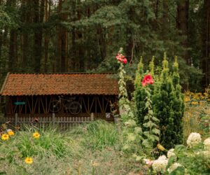 Wiatraki Mazury Pokój Studio nr