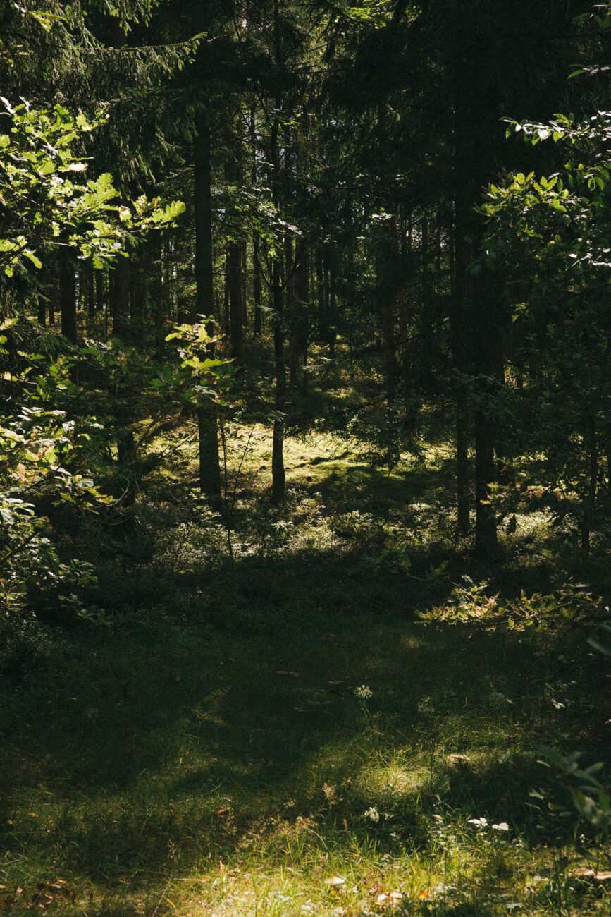 Wiatraki Mazury Pokój Premium nr