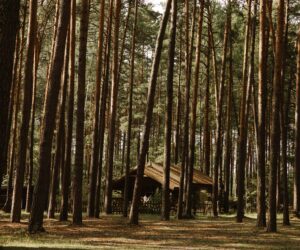 Domek Premium osobowy Wiatraki