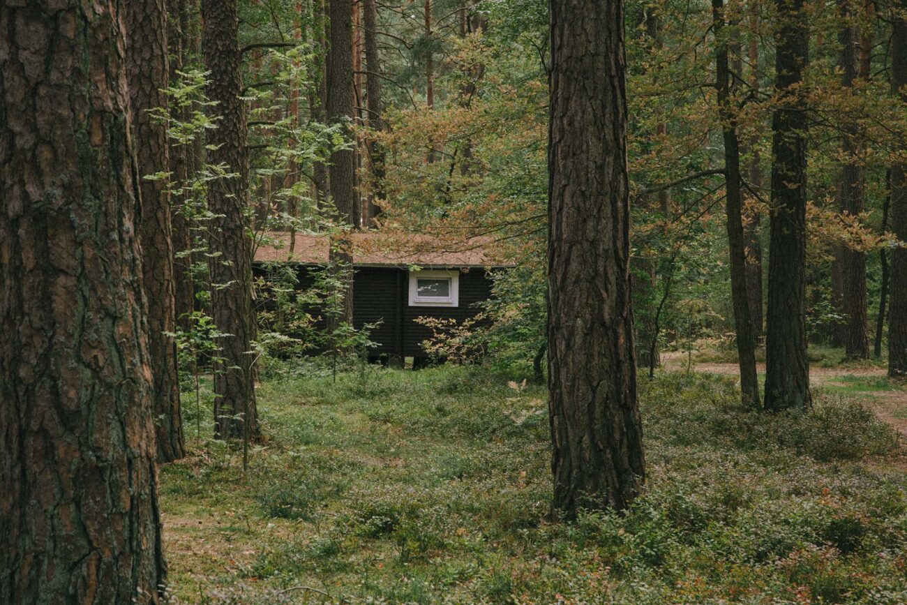Domki Standard Wiatraki Mazury