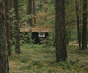 Domki Standard Wiatraki Mazury