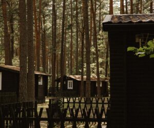 Domki Standard Wiatraki Mazury