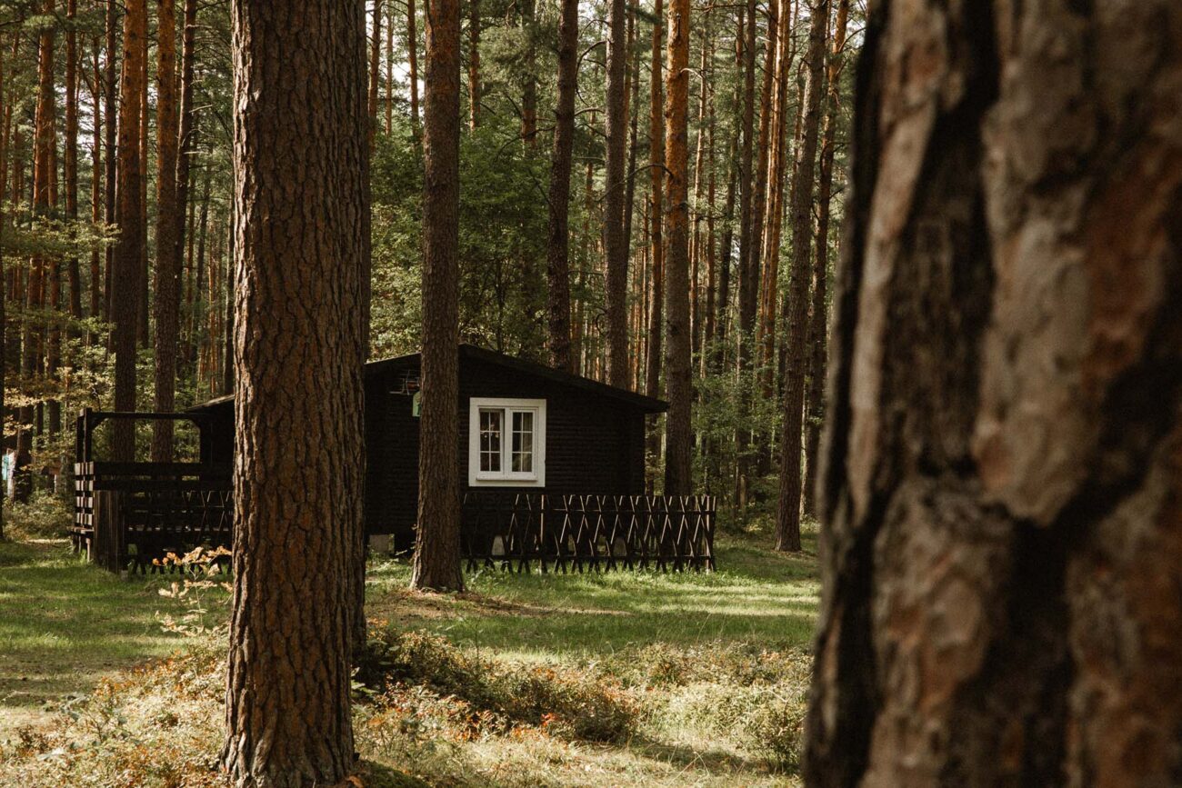 Domki Standard Wiatraki Mazury