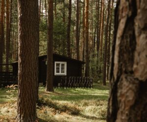 Domki Standard Wiatraki Mazury