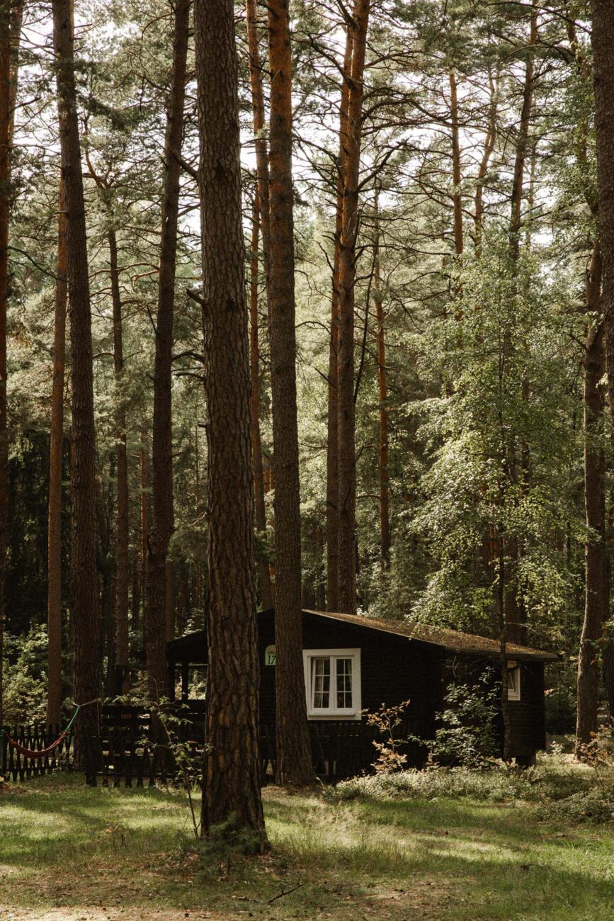 Domki Standard Wiatraki Mazury