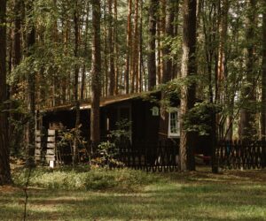 Domki Standard Wiatraki Mazury