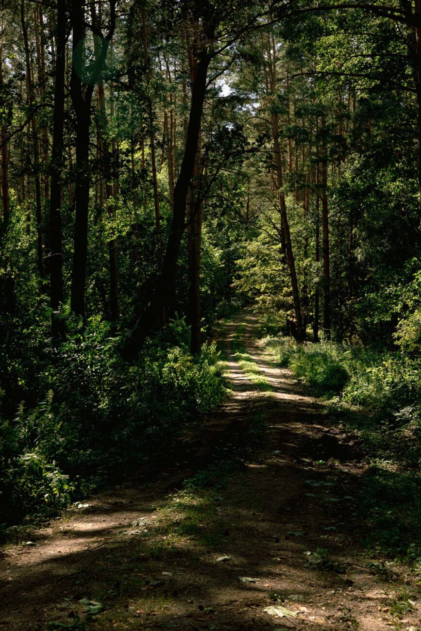 Pokój Premium nr Wiatraki Mazury