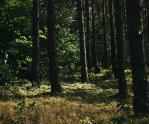 Pokój Premium nr Mazury