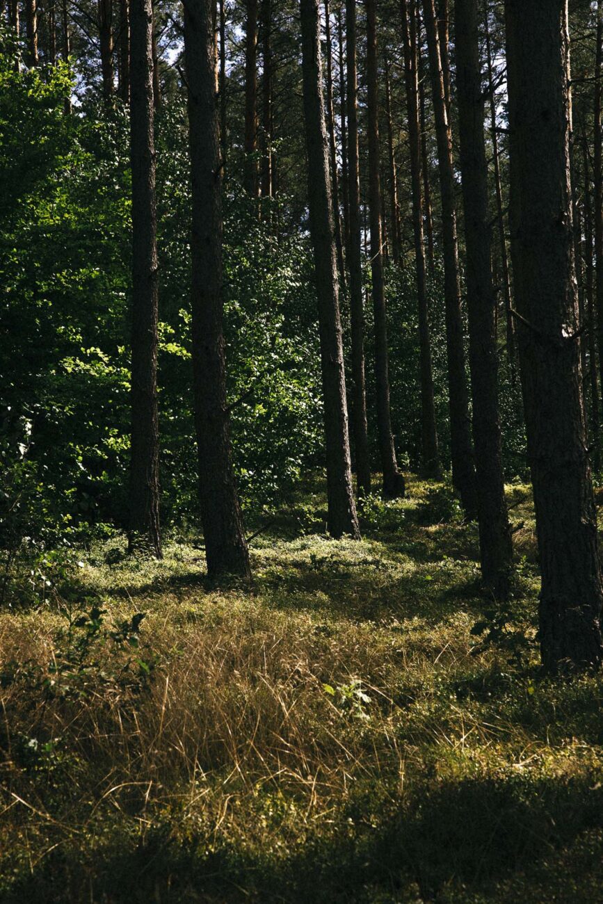 Pokój Premium nr Mazury
