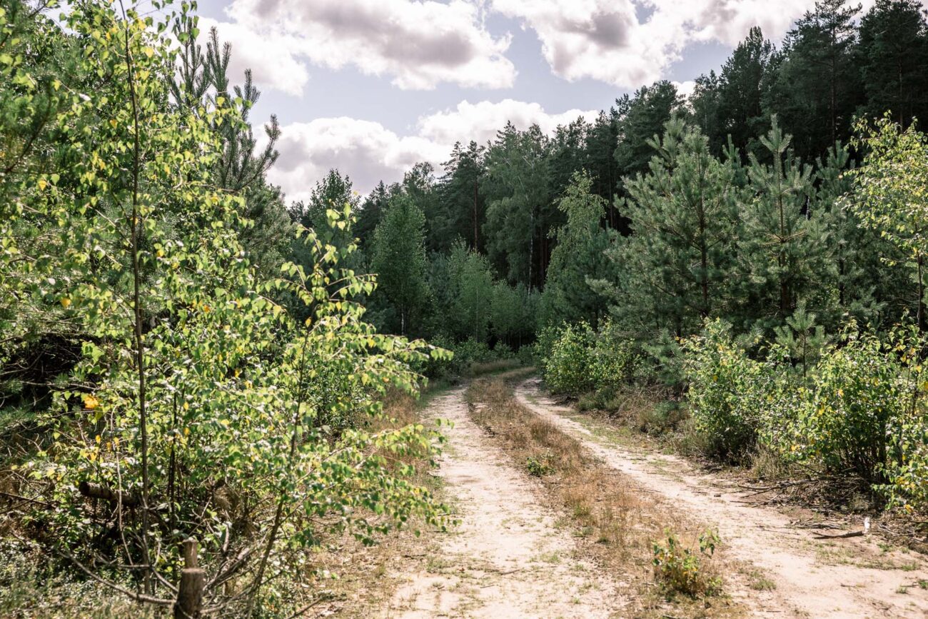 Pokój Standard nr Wiatraki