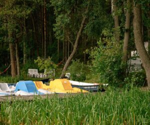 Pokój Studio nr Mazury