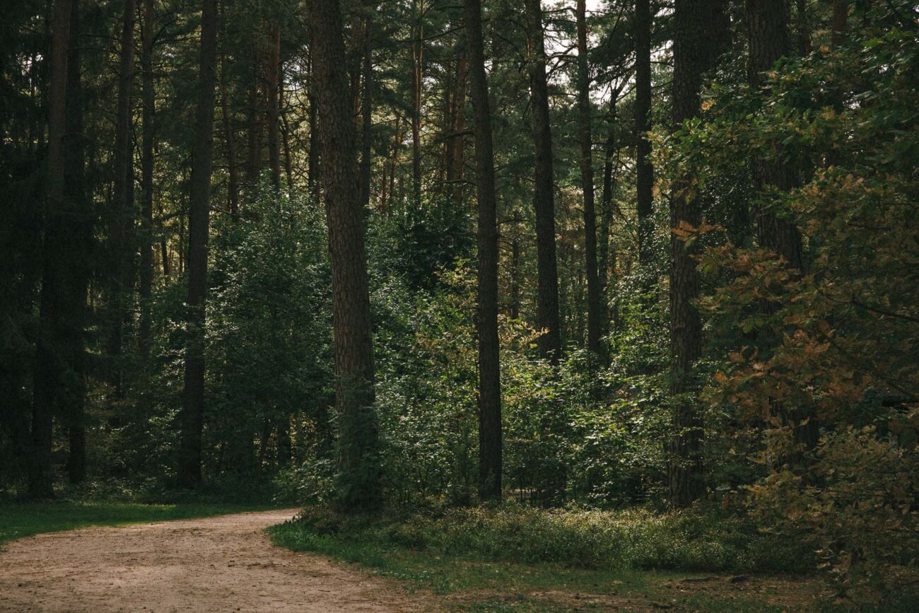 Wiatraki Mazury Pokój Premium nr