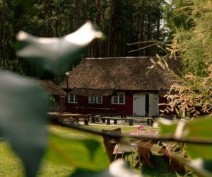Wiatraki Mazury Pokój Premium nr