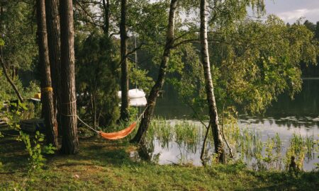 Na czym polega wellness?