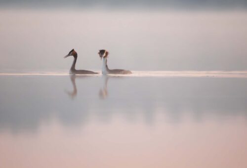 Dzień Kobiet na Mazurach SPA