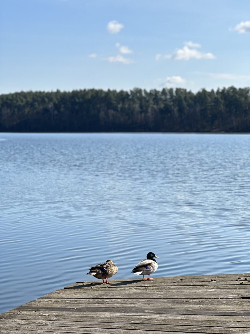 Wiosna na Mazurach Wiosna na Mazurach