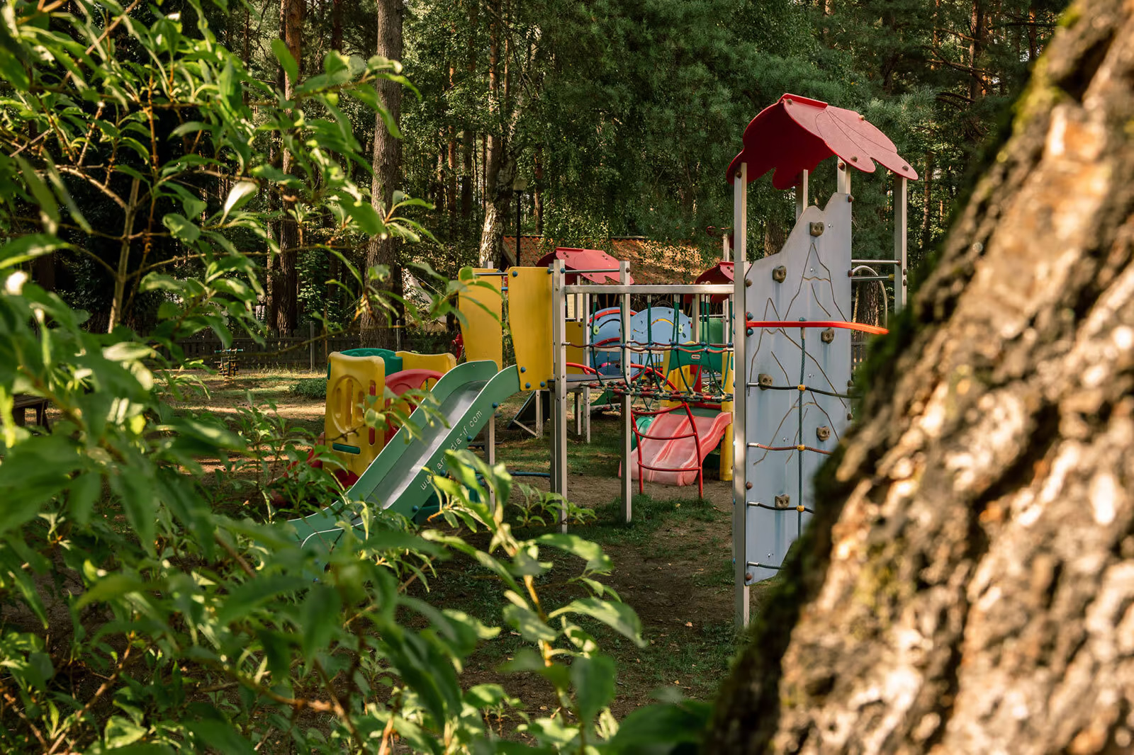 Wakacje z dziećmi i Psem w Wiatraki Nature Resort