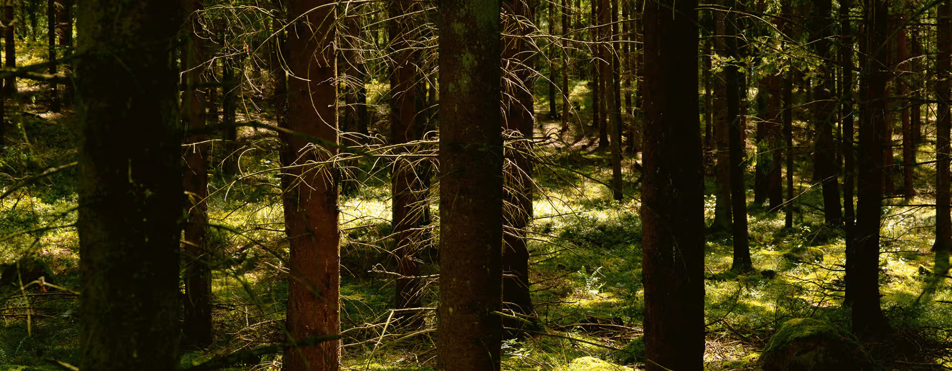 the perfect place for nature lovers